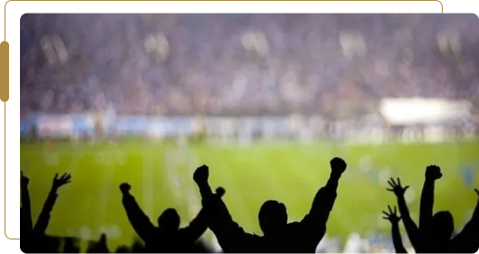 Fans cheering at a sports stadium.